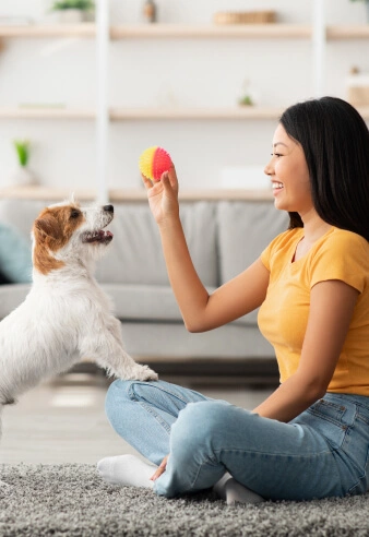 playing with dog