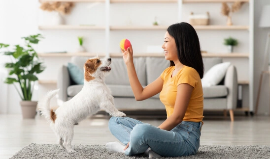 playing with dog